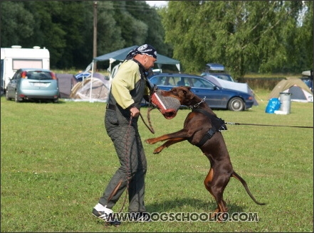 Training camp - Lukova 2007